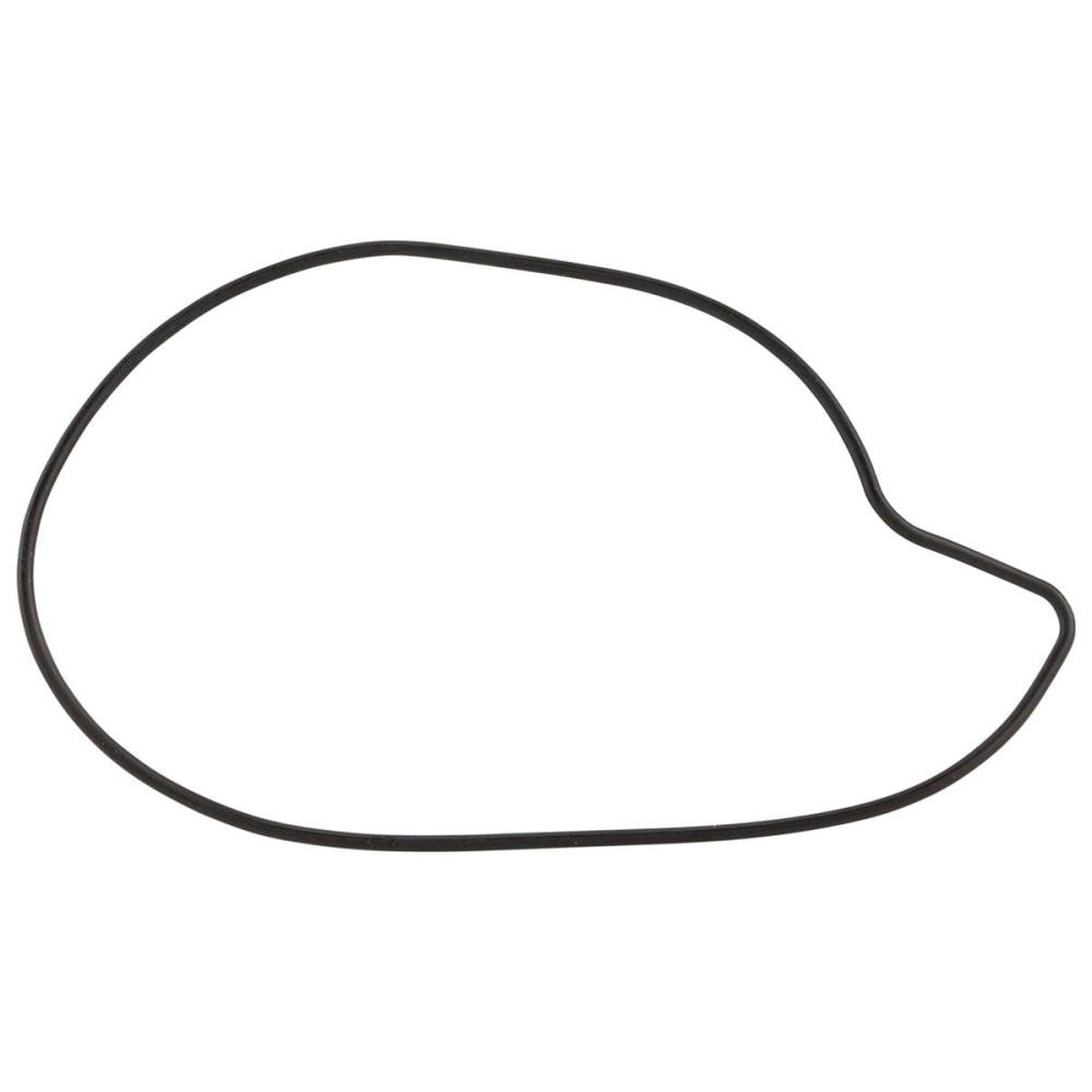 Piaggio DICHTUNG WASSERPUMPE MASTER