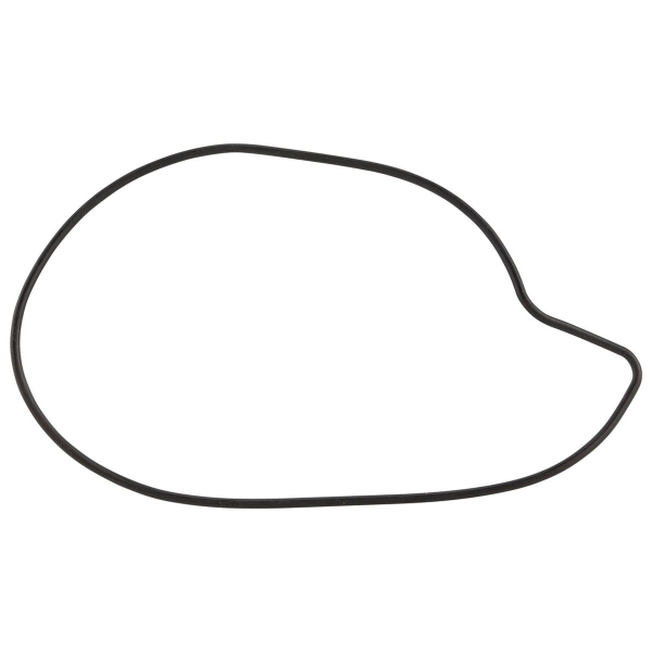 Piaggio DICHTUNG WASSERPUMPE MASTER