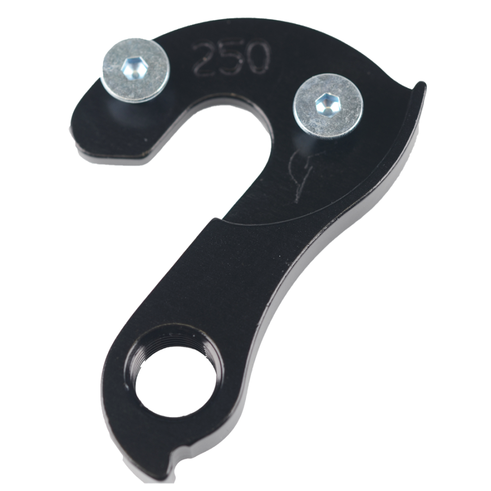 Haibike Wechselauge, Typ 250, Fuji, Kona, , Corratec, Fixierung 2 x M4